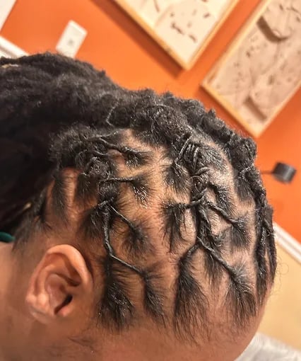 Intricate dreadlocks styled with precise braiding and neat geometric patterns